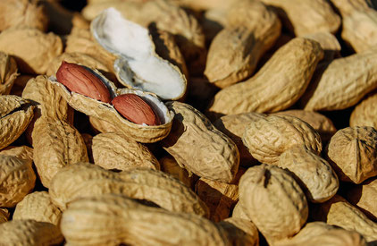 Eine Allergie gegen Erdnüsse und Äpfel ist an Schulen kein Spaß.
