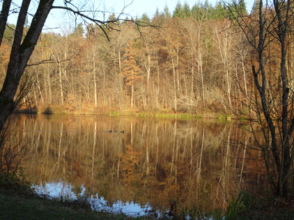 "Still ruht der Sulzbachsee" 
