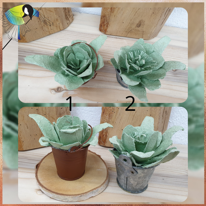 Avec presque rien , petit pot de fleur, recyclage, rénovation d'objet, Sciez, Thonon, Haute- savoie, Leman, créa terra, détournement d'oeuf, fleur pérenne, fleur éternelle, boîte d'œuf