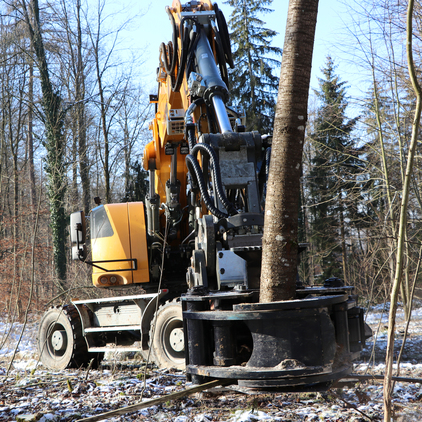 Schneidgreifer für Bagger