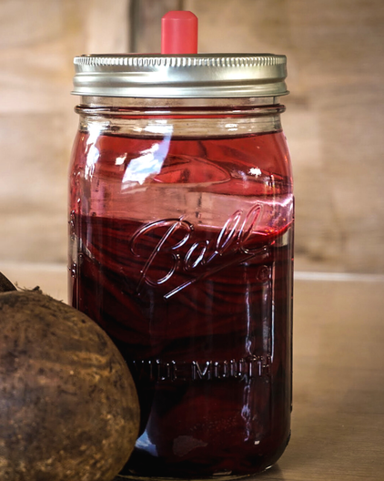Radieschen mit Dill - Dein Ferment für den Frühlingsbeginn