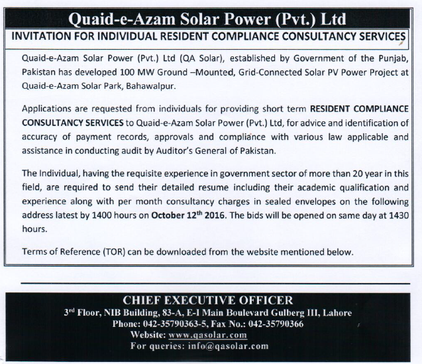 tender of the Individual Compliance Consultant