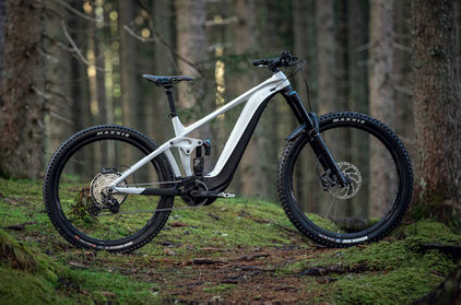 Das brandneue Giant Reign E+ 2022