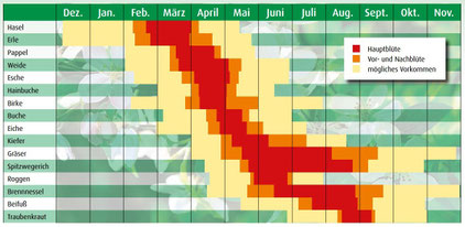 Heuschnupfen Meeresklima In Bamberg