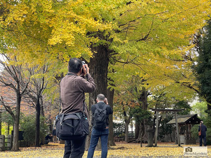 平塚神社の境内を撮影する会員