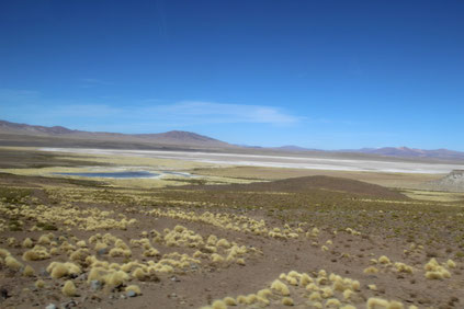 Lagune de l'Altiplano
