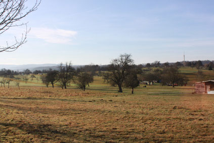 zwischen Busenbach und Wettersbach - Blick in Richtung Nordschwarzwald (G. Franke)