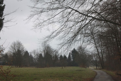 Waldrand bei Wettersbach oberhalb der Jagdhütte (G. Franke)