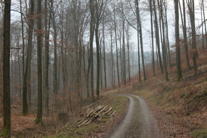 Kälberklamm (oberer Teil) G. Franke