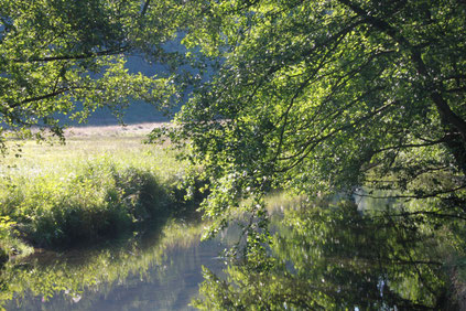 Albtal zwischen Fischweier und Marxzell (Foto: G. Franke)