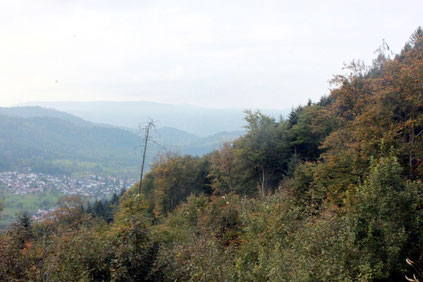 am Käpple - Blick über Loffenau