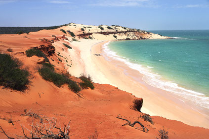 Red cliffs, white beaches, 4 WD Tours to Francois Peron National Park.