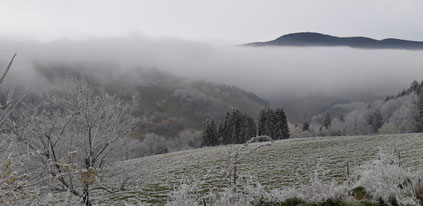 Le Renard perché, La Renaud Rautsch, grand gite, Alsace, Haut Rhin, proche de Colmar, Le Bonhomme, 68650, Col des Bagenelles, charme, nature, deconnexion, relaxation, vue, écologie, méditation, éco-lieu, yoga