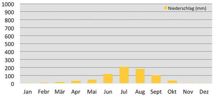 Klimadiagramm Niederschläge im Makalu Basecamp, Nepal