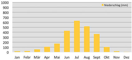 Klimadiagramm - Niederschläge in Dzongri während dem Trekking in Sikkim