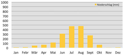 Klimadiagramm durchschnittliche Niederschlagsmenge in Tatopani in Nepal