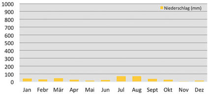 Klimadiagramm Regenmenge in Mustang in Nepal