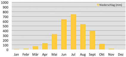 Klimadiagramm durchschnittliche Niederschläge in Punakha in Bhutan