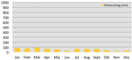 Klimadiagramm - Niederschläge in Kaza in Spiti