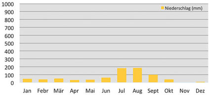 Klimadiagramm Regenmenge in Mustang in Nepal 