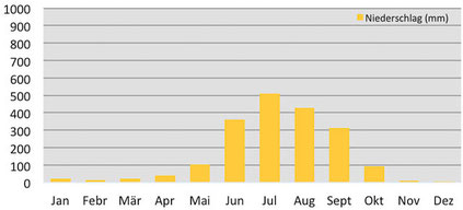 Klimadiagramm durchschnittliche Niederschläge im Chitwan Nationalpark in Nepal