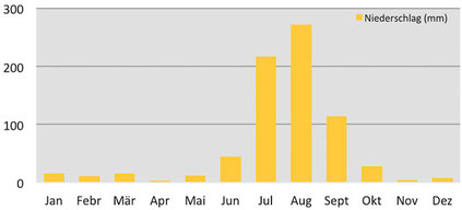 Klimadiagramm - Niederschlag Delhi in Indien