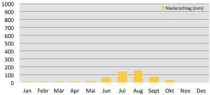 Niederschlag pro Monat in Dingboche beim Mount Everest
