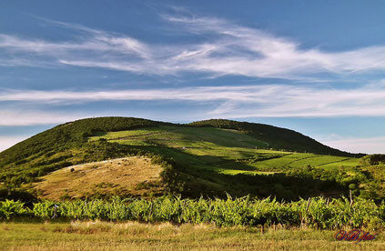 Explore the nature in Eger