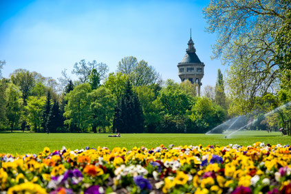 Best things to do in Budapest - Margaret Island copyright Balazs Toth