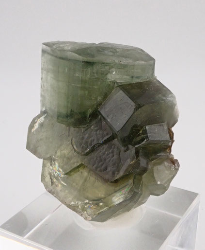 Fluorpatite