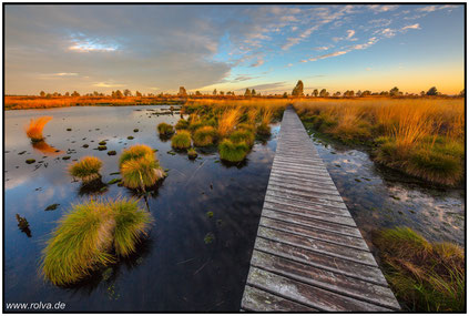 Vennlandschaft#Moor#Steg#Hohes Venn#Brackvenn#Roland Valter#rolva#Natur-Fotografie#Aachen 