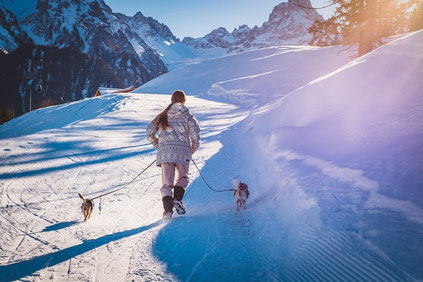Une femme marche dans la montagne enneigée avec ses petits chiens tenus en laisse par coach canin 16 educateur canin à angoulême