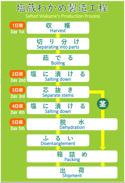 わかめの製造工程