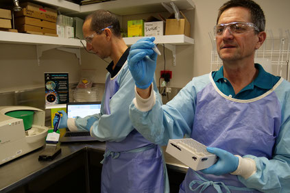 AIMS scientists Jason Doyle (left) and Dr Sven Uthicke have developed a cost effective method for detecting the coral-eating crown-of-thorns starfish.  From www.aims.gov.au