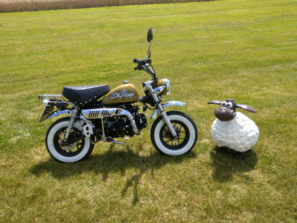 Minibike Custom Skymini Skyteam armeegrün mit Weisswandreifen Honda Gorilla Honda Monkey Honda Dax