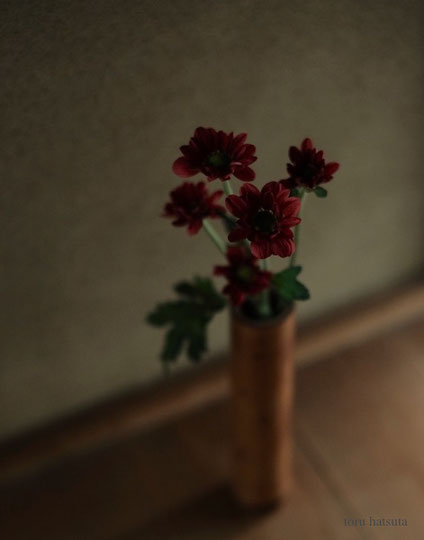 煤竹の一輪挿しに菊を