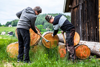 Ritter Holz Schindel Dach Angebot Aus Der Natur