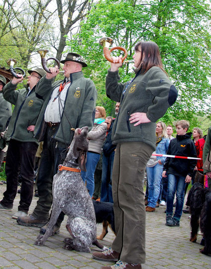 Mehrere Jäger blasen den Hunderuf auf ihren Jagdhörnern, ein Hund jault dazu.