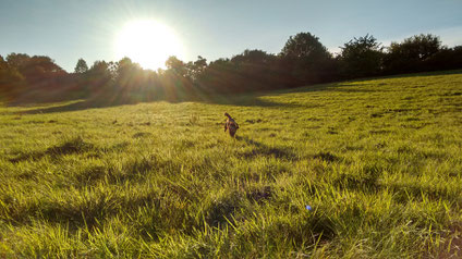 Strahlender Sonnenschein am Nachmittag.