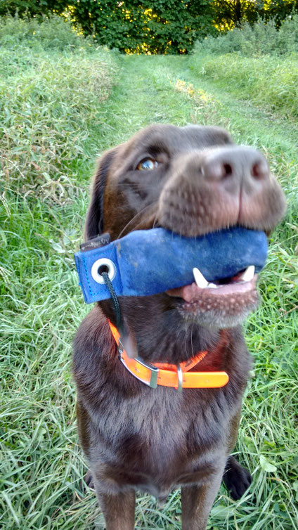 Toni mit dem Suchendummy