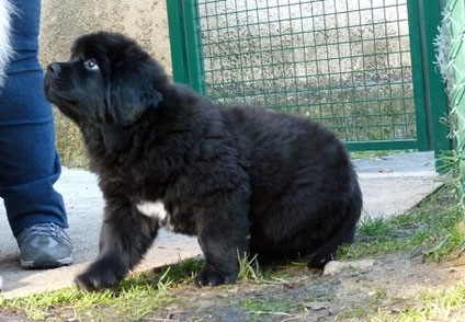 2 MOIS