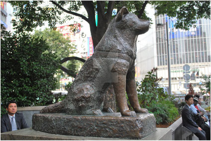 Estàtua de bronze erigida a l'estació de Shibuya en honor a Hachiko