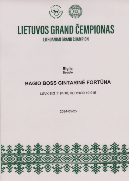 Bagio Boss Gintarine Fortuna * Lord James *, Czarnowsky , Beagle, Beagle, Beagle, Beagle, Beagle, Champions, Winner, the Best, Love, Star