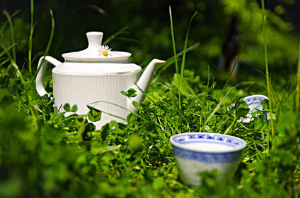 TEA IN THE PARK by congloria