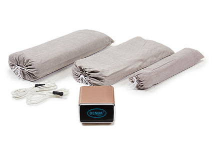 DENBA Health Standard 商品付属品