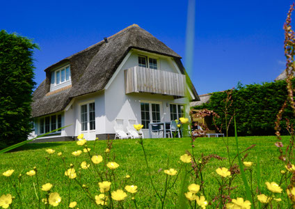 Waddenduyn-Texel