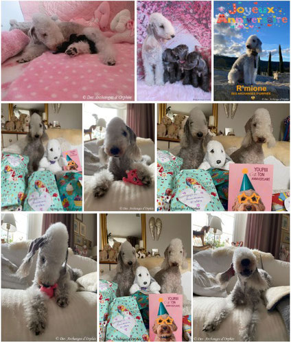Merci pour les cadeaux des frérots - cliquez sur l'image pour accéder aux photos. 
