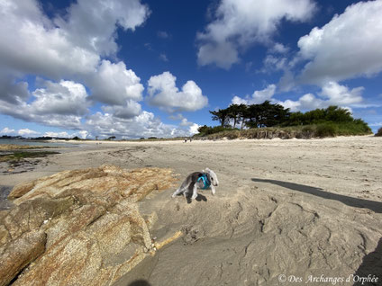 R'mès - Larmor Plage