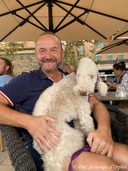 Collioure