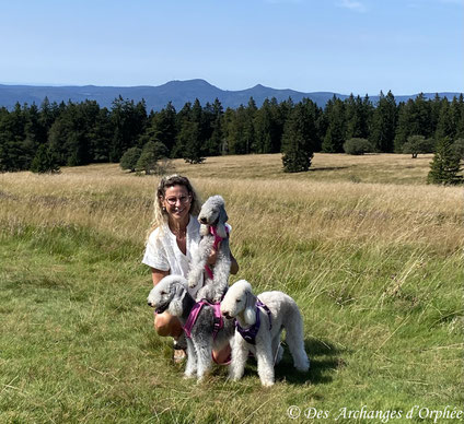 Champs du Feu : Olga, R'mione & Pashmina 